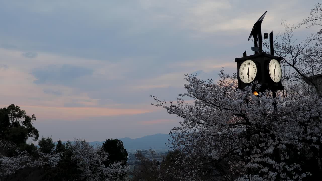 교토 최고의 명소