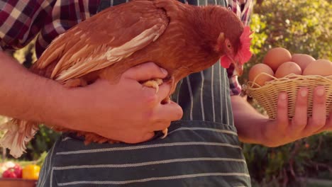 happy farmer holding chicken and egg