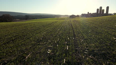 Aerial-Over-Cover-Crop-Seedlings-And-Passing-Tractor-In-Rural-Pennsylvania,-U