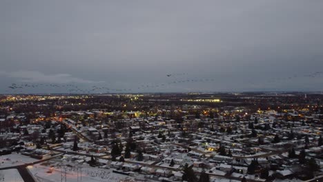 fotografía aérea de una bandada de pájaros volando sobre la nevada ciudad de candiac, quebec por la noche