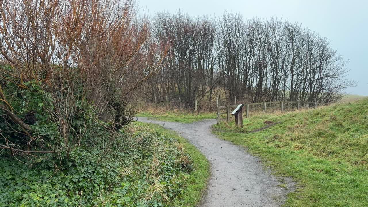 Gåtur i skovparkens natur i det kolde og blæsende engelske landskab, Storbritannien