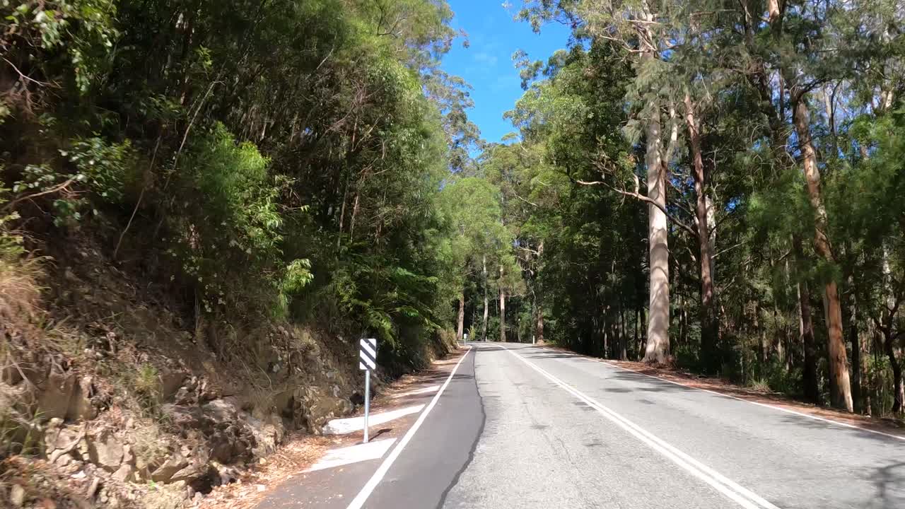 나무 로 둘러싸인 휘어지는 길 을 따라 여행 하는 것