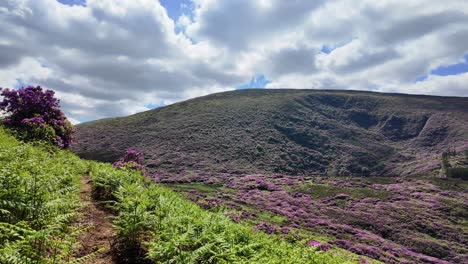 Senderos-A-Las-Montañas-En-Un-Día-Ventoso-De-Verano,-Lugares-épicos-De-Waterford,-Irlanda