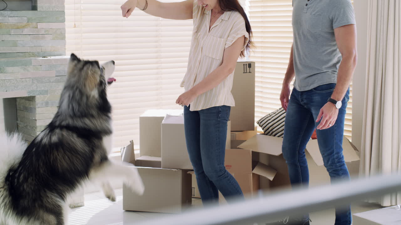 새로운 집에서 우리의 여정을 시작합니다.