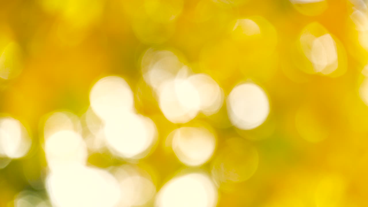 Sfondo bokeh di foglie autunnali gialle