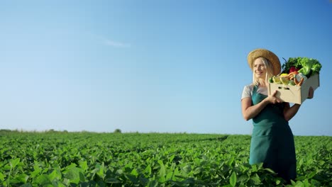 Retrato-De-La-Joven-Agricultora-Rubia-Con-Un-Sombrero-Parado-En-Medio-Del-Campo-Verde-Durante-La-Temporada-De-Cosecha-Y-Sosteniendo-Una-Caja-Con-Verduras-Maduras