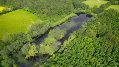 nature of maine-et-loire countryside with pond and trees in france