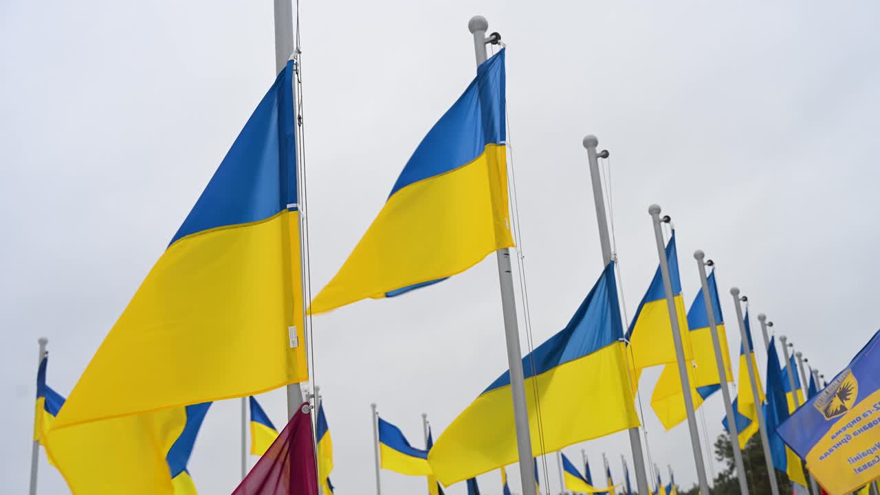Upward view of Ukrainian flags waving in the winter wind over soldiers' graves at Irpin Cemetery, Ukraine, honoring those who lost their lives in the Ukraine-Russia war.