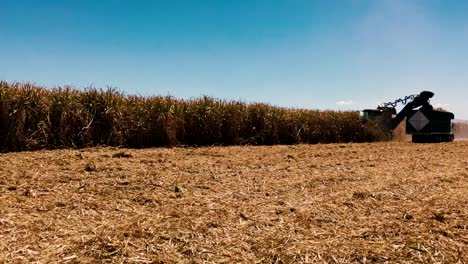 Machinery-harvesting-cane-in-Ameca,-Jalisco.-Mexico