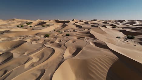 perspectiva aérea que revela el extenso terreno desértico, destacando las dunas de arena onduladas que barren el paisaje árido bajo un cielo azul luminoso, capturando formaciones geológicas naturales