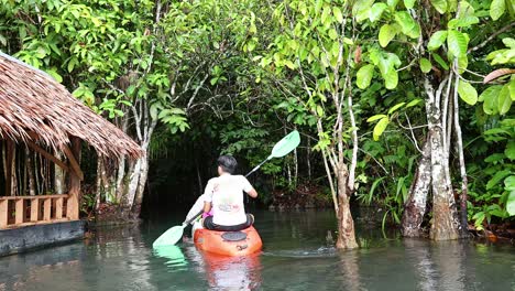 person kayaking in lush krabi, thailand scenery