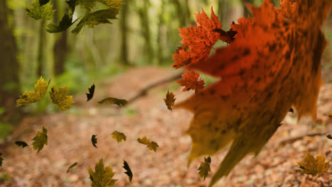 leaves falling