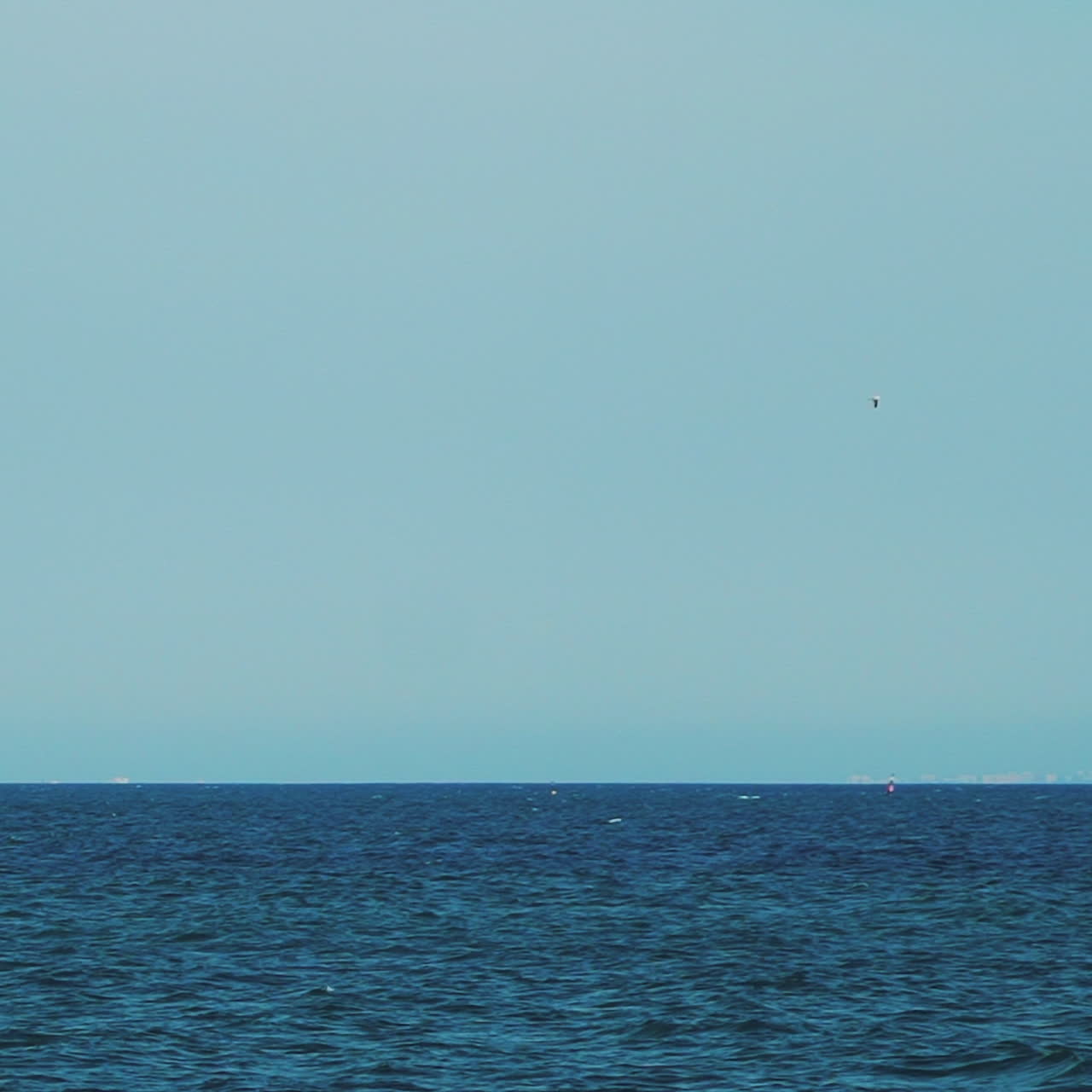 Sea with a sailboat on the horizon. White sail in the Sea.