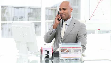 ethnic business man on phone working at a computer