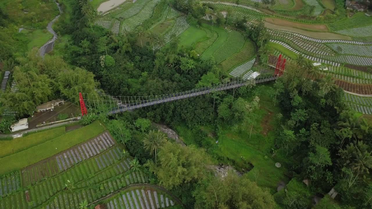 바닥에 강이 있고 나무와 채소 농장으로 둘러싸인 계곡 위에 금속 현수교의 드론 샷