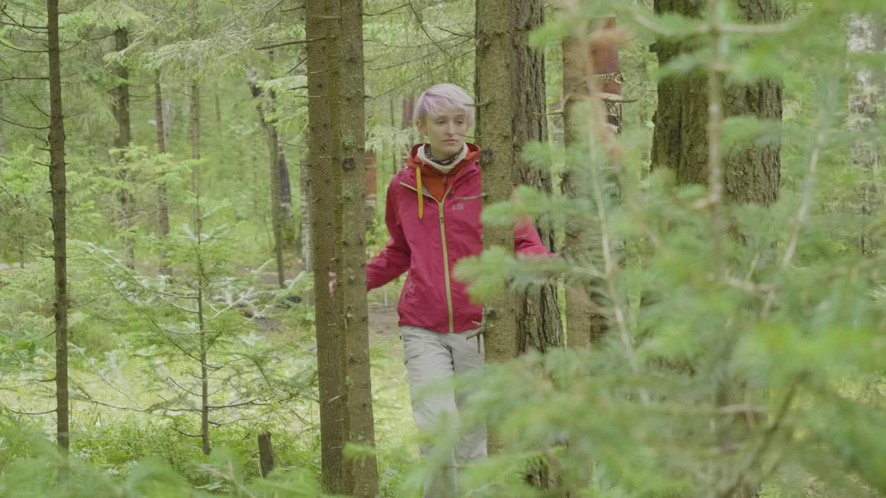 소나무 숲 에서 산책 하는 여자