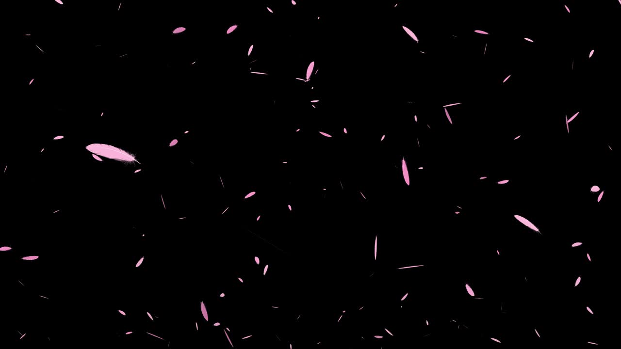 분홍색 털 날아가는 입자 모션 그래픽