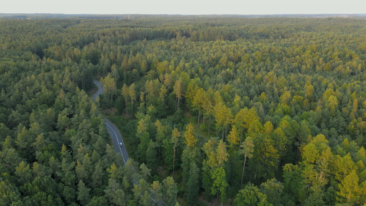 Tracking shot over vast forests of Koleczkowo Poland in Northern Europe with highway through the center