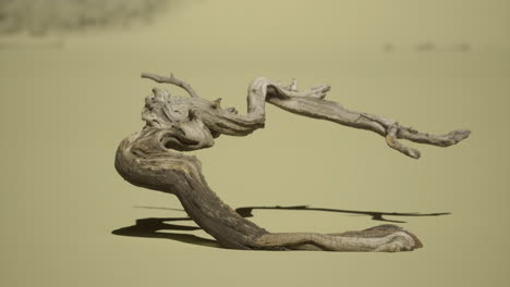 driftwood sculpture on sunlit sand in a serene outdoor setting