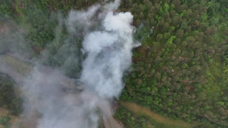 devastador incendio forestal acaba de comenzar en la ladera verde después de un largo período de sequía y clima cálido - vista aérea de pájaro mirando hacia abajo en el humo de la montaña empinada con el río debajo