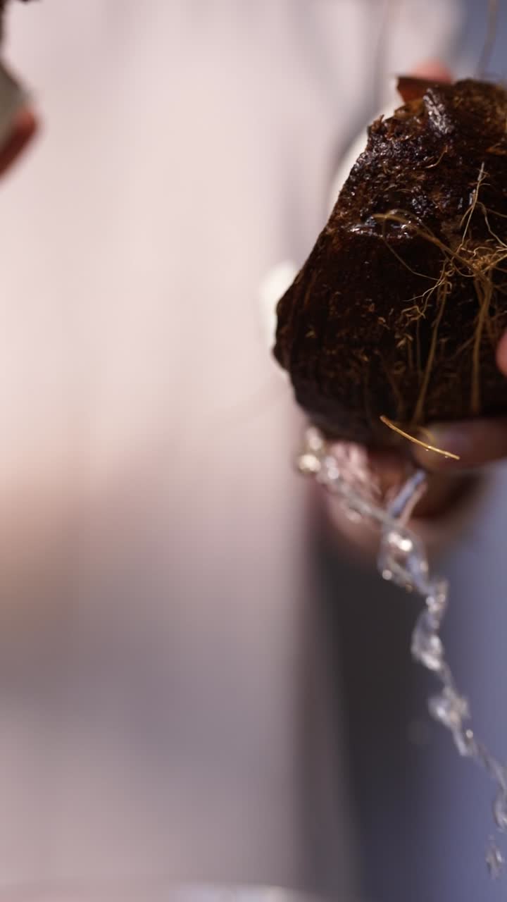 abriendo un coco y vertiendo agua