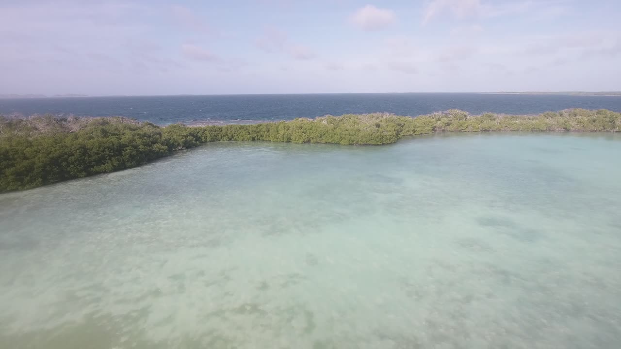 Luftfoto som panorerer ut og avslører tropisk lagune og mangroveskog omgitt av turkist vann