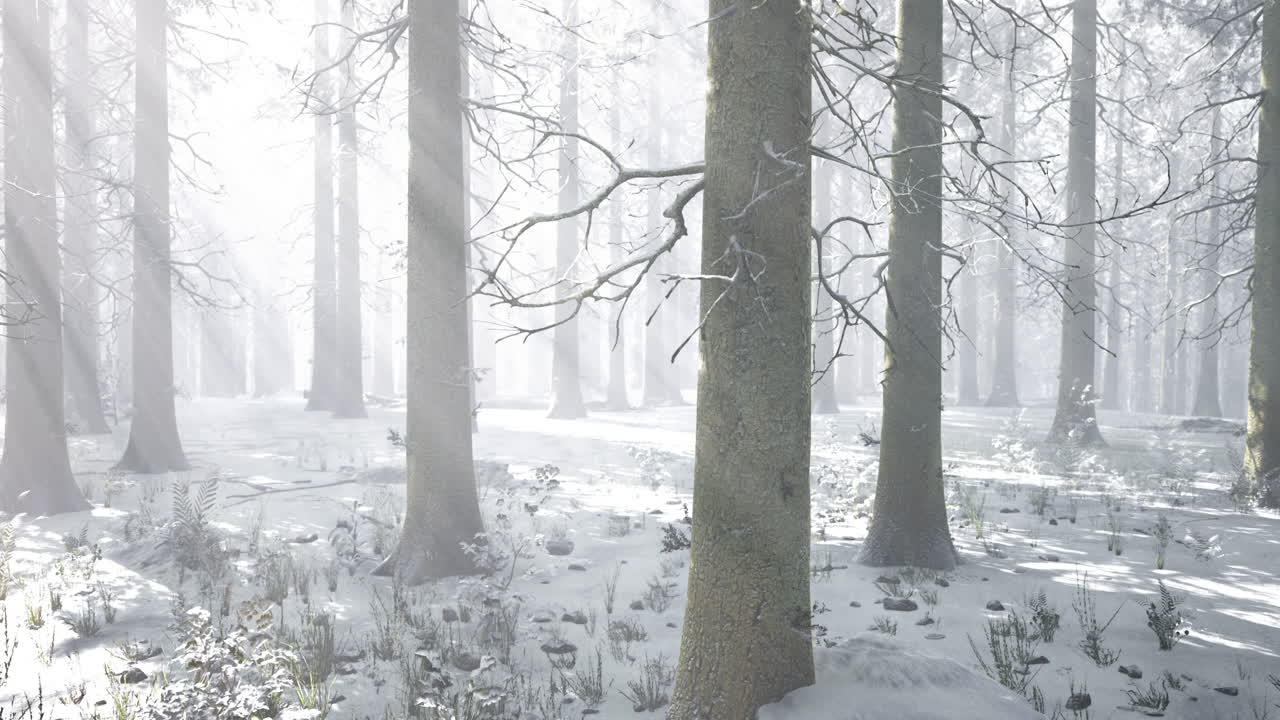 Ethereal winter landscape enveloped in soft light and snow