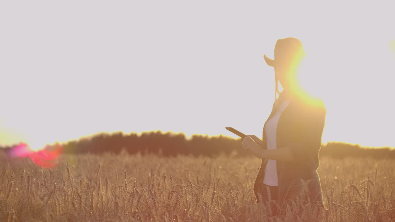 손에 태블릿 컴퓨터를 들고 있는 농부 소녀가 라이의 귀를 조사하고 태블릿 컴퓨팅에 데이터를 입력합니다.