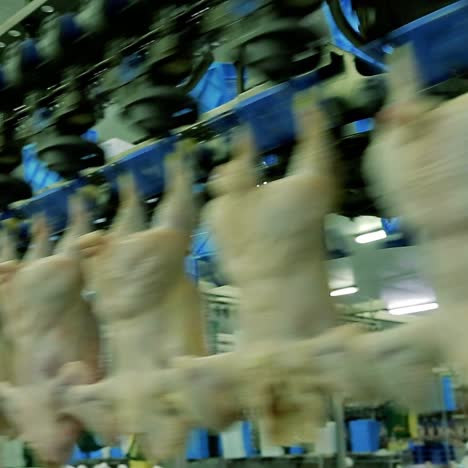 chicken processing facility