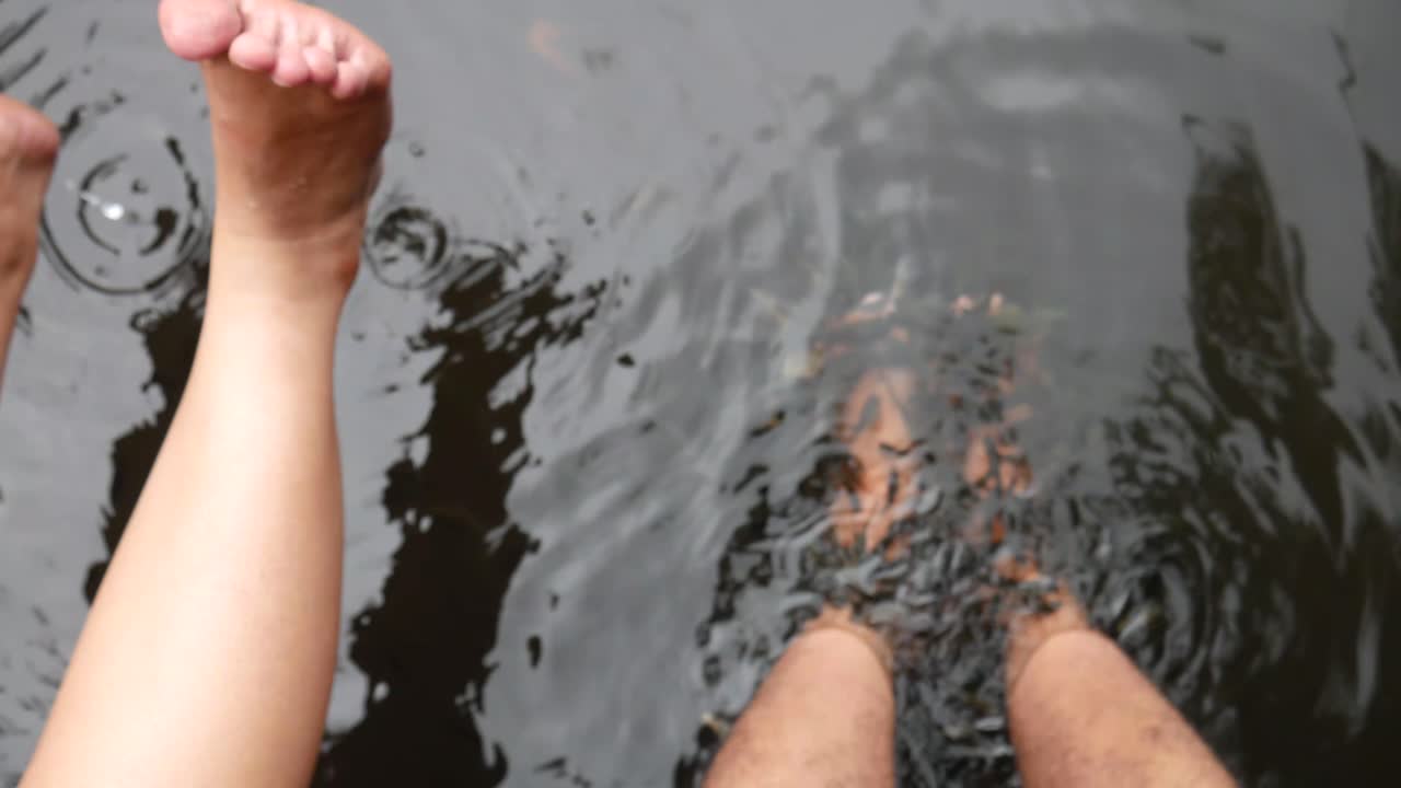 연못의 작은 물고기와 치료 요법