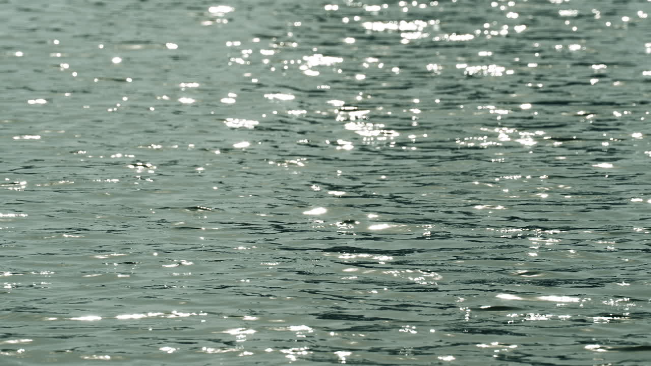 Slow motion of rain with splashes on wet asphalt surface