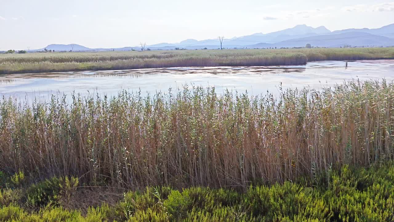 parque natural de la albufera de la isla de mallorca