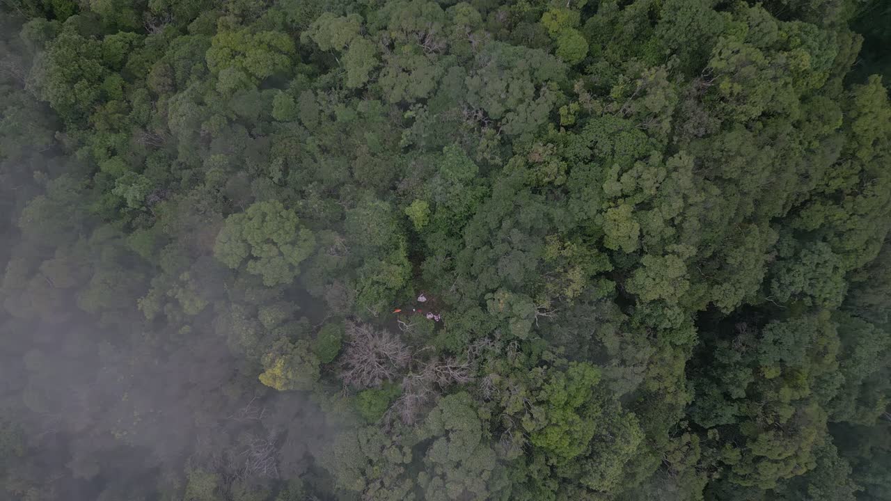 Drone descending towards the jungle through the fog.