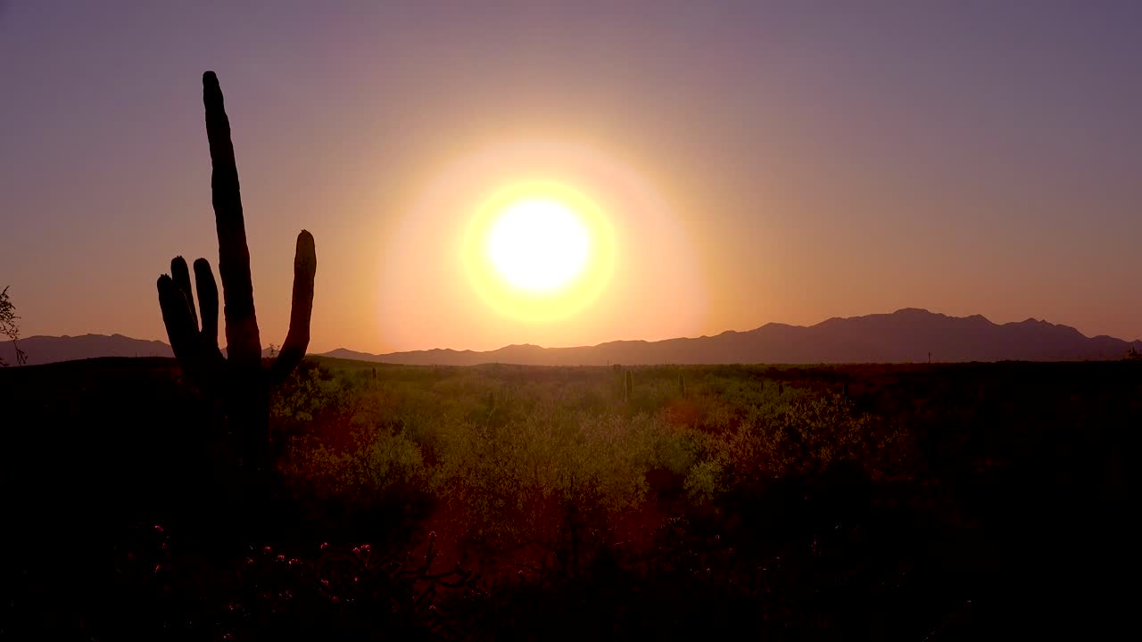 una hermosa puesta de sol en el parque nacional saguaro captura perfectamente el desierto de arizona