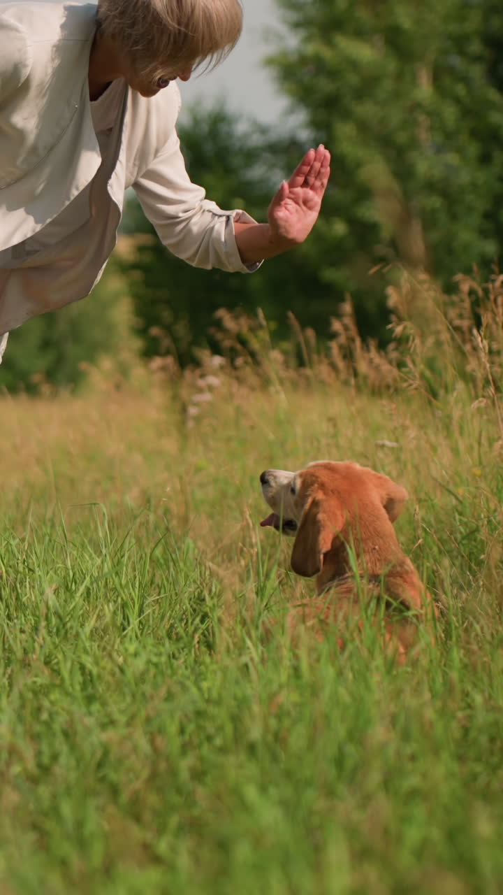 Woman wearing white short outdoors in grassy field playing with her dog as it happily turns around, while second dog looks on with open mouth, warm interaction on sunny day