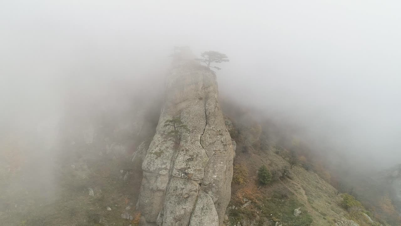 el pico de la montaña brumosa con el pino