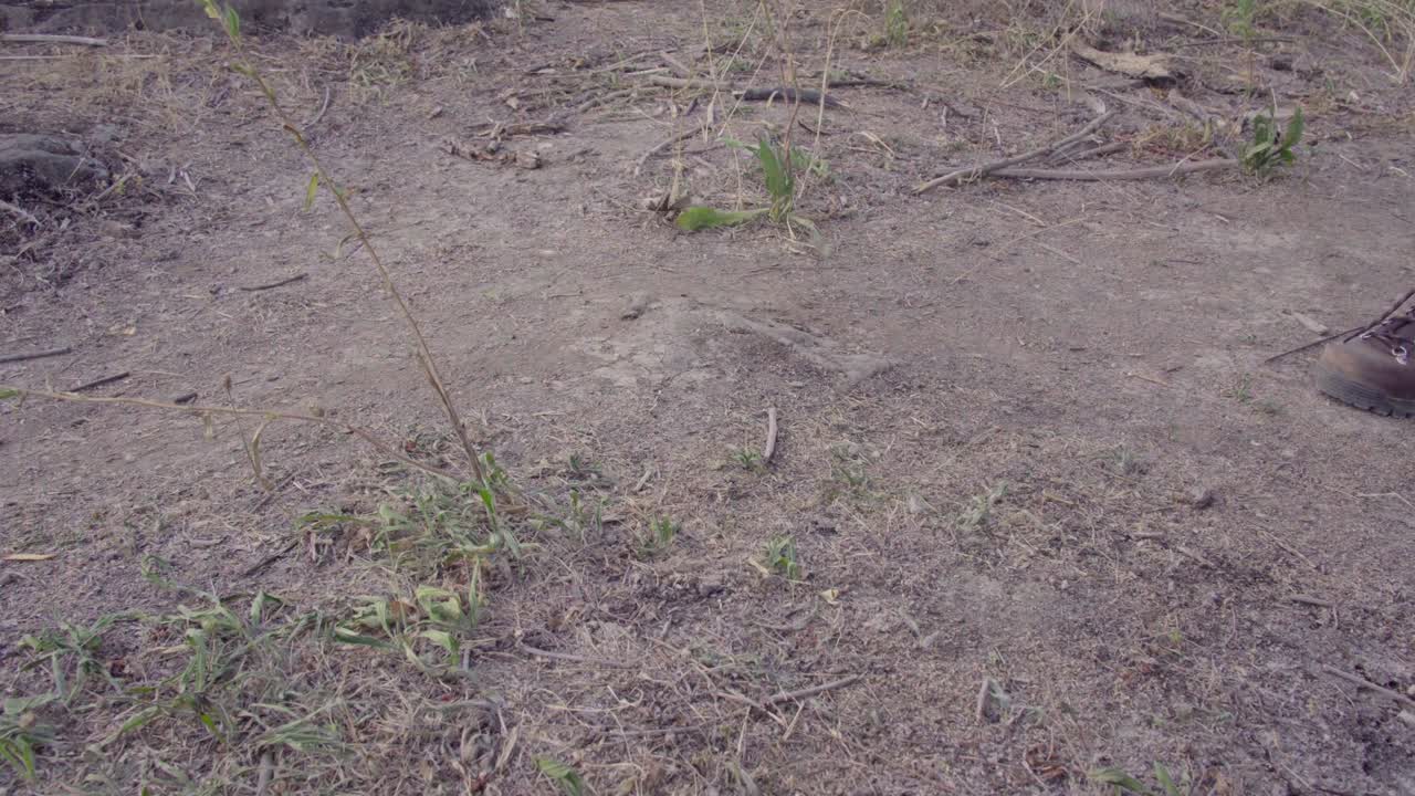 сапоги милой девушки-хипстера идут по грунтовой дорожке через кадр