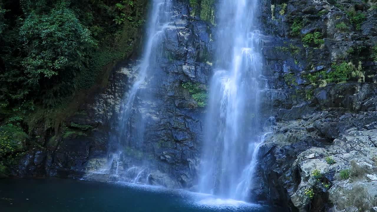 タンシン滝シロン メガラヤ インドで撮影したフラット アングル ビデオから森の山から流れる滝