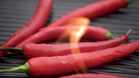 hot flaming chilli peppers on barbecue grill, slow motion fire flames, close-up