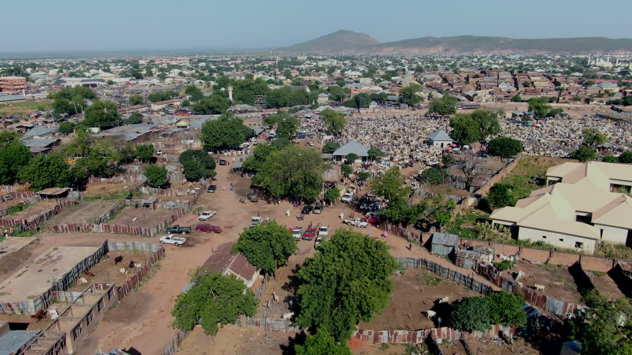 나이지리아 곰베의 소와 동물 시장의 조감도