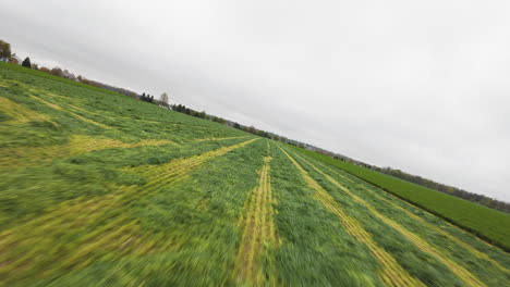 Freshly-mown-lawn-grass-in-cultivation-field-beside-transmission-tower-at-cloudy-day