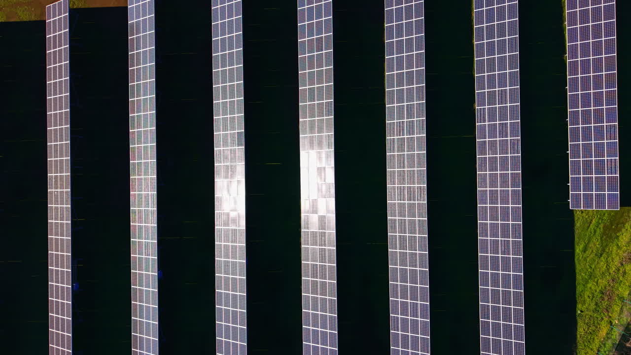 Pannelli solari sono disposti in file su un campo durante il giorno, catturando la luce solare per la produzione di energia.