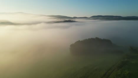 drone footage starting at tree level in thick fog, gradually rising above the mist to reveal distant hilltops emerging at sunrise, bathed in soft morning light.