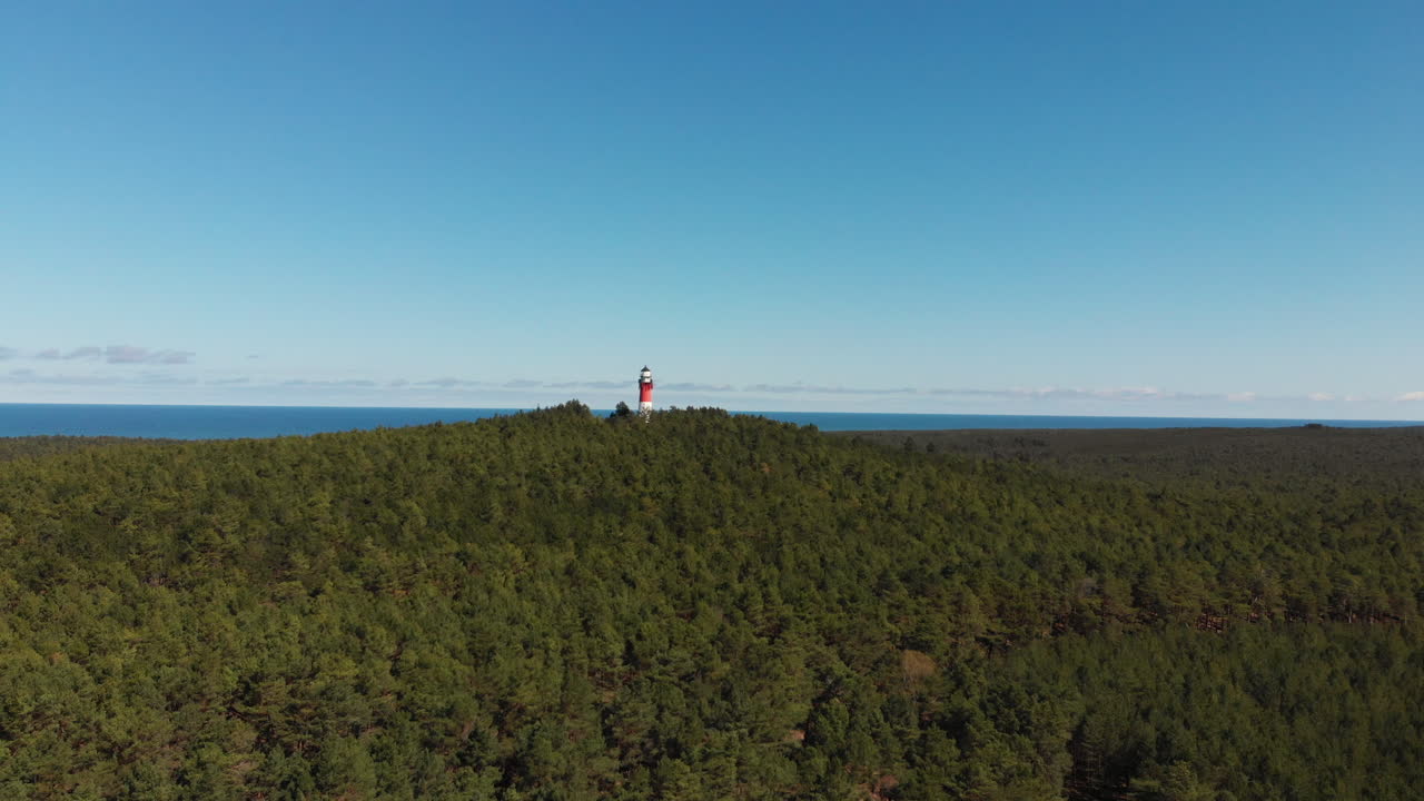 Red and white lighthouse in the forest