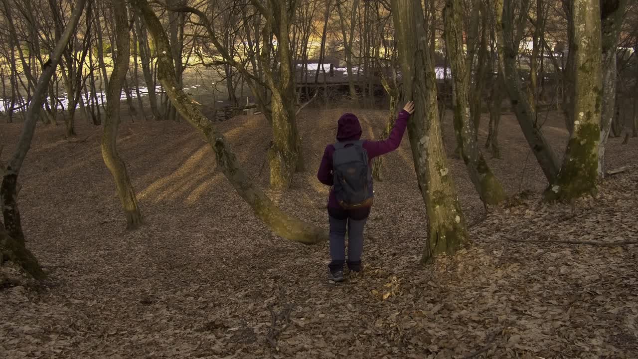 En kvinde i lilla jakke går ned ad en bakke i en skov og fjoller