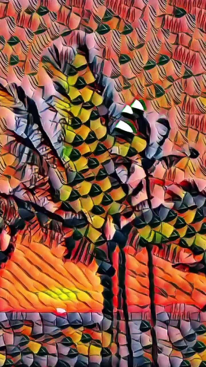 Animazione verticale di palme che ondeggiano al vento al tramonto con effetto mosaico per i social media