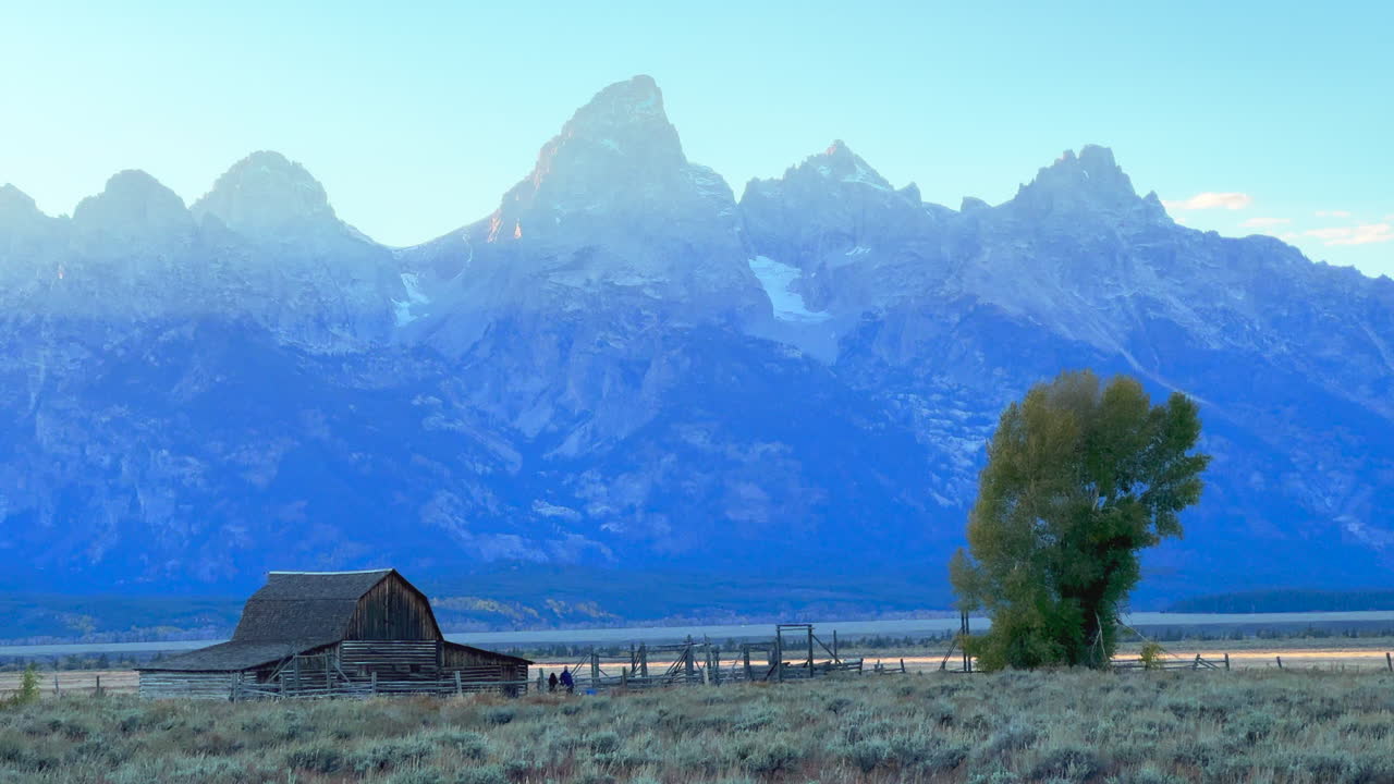 Mormon Row Moulton Barns cool blue tones Grand Teton National Park wind tall grass fall Aspen golden yellow trees Jackson Hole Wyoming beautiful late afternoon sunset cinematic pan left slowly