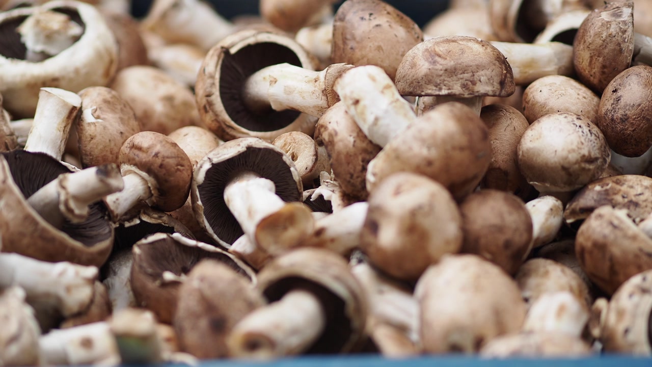 Close-up of Fresh Brown Mushrooms in a Pile