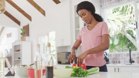 video of african american woman preparing meal in kitchen