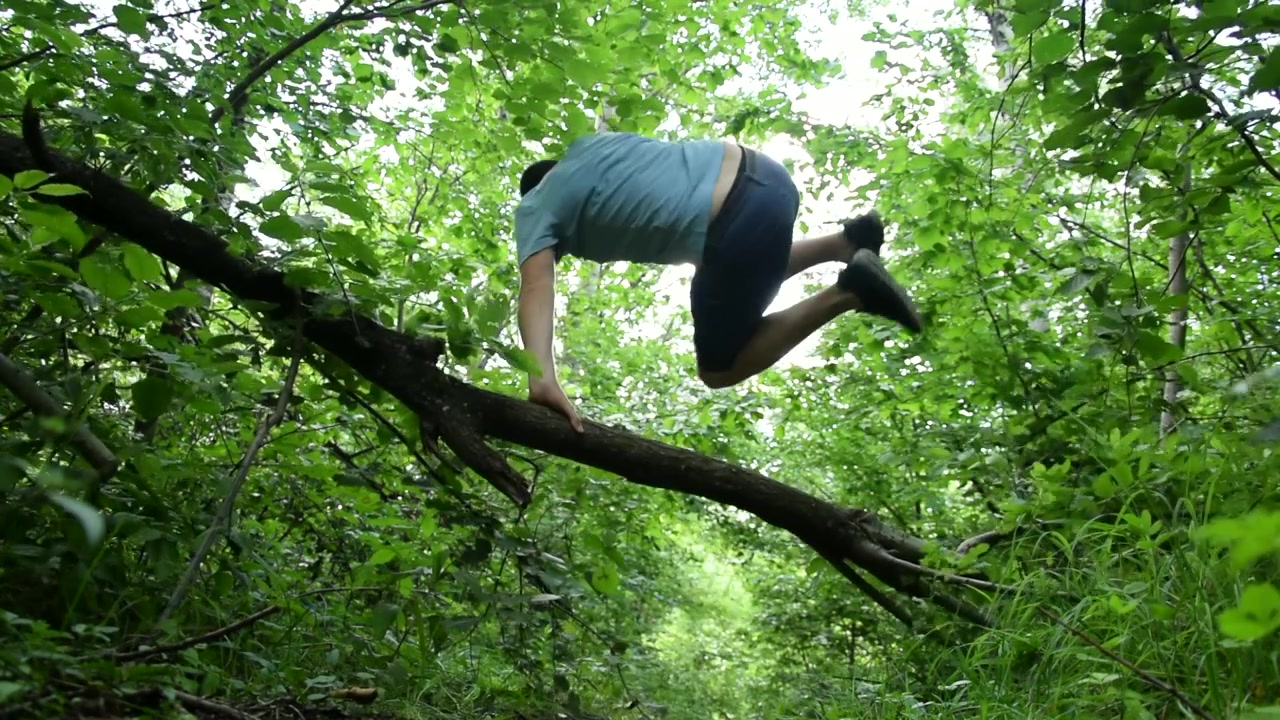 CÁMARA LENTA: Explorando el Bosque. Saltando sobre un Árbol Caído